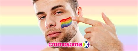 osos gays|Subculturas en la comunidad gay: el origen de los osos gay